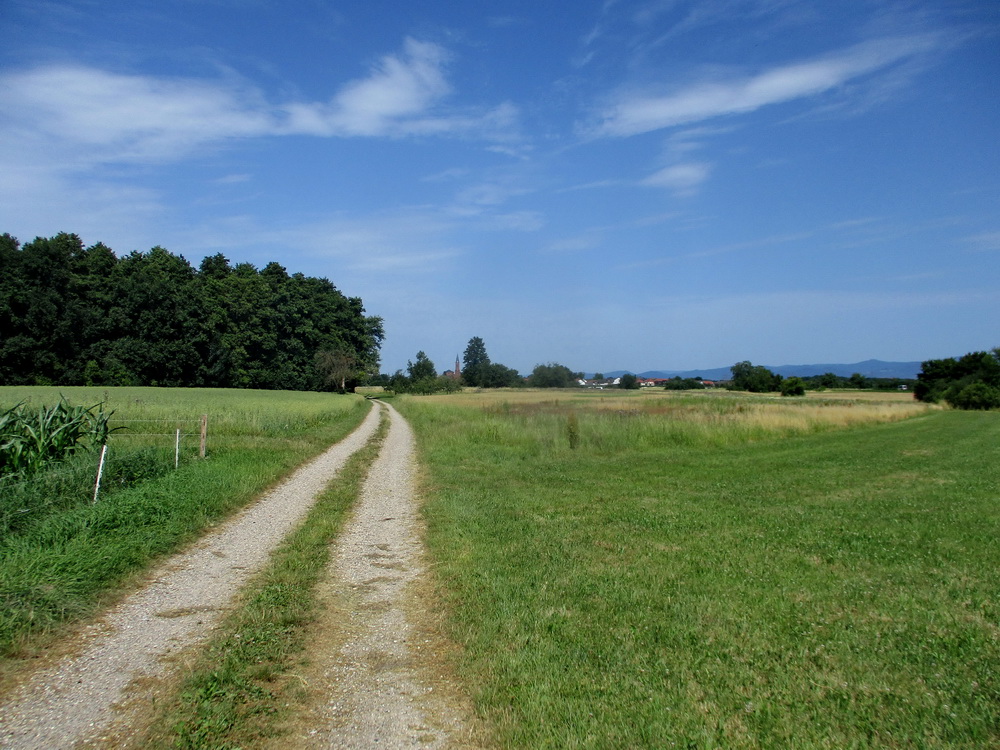 06.JPG