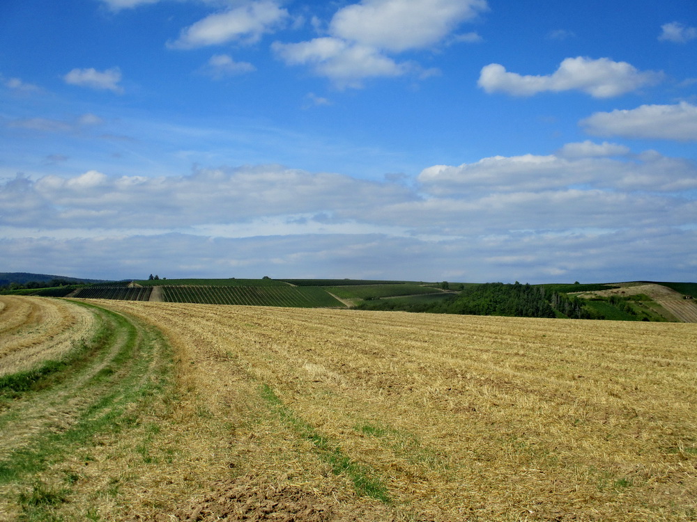 06.JPG