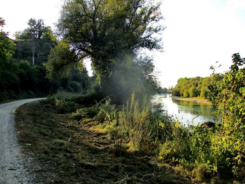 06.JPG