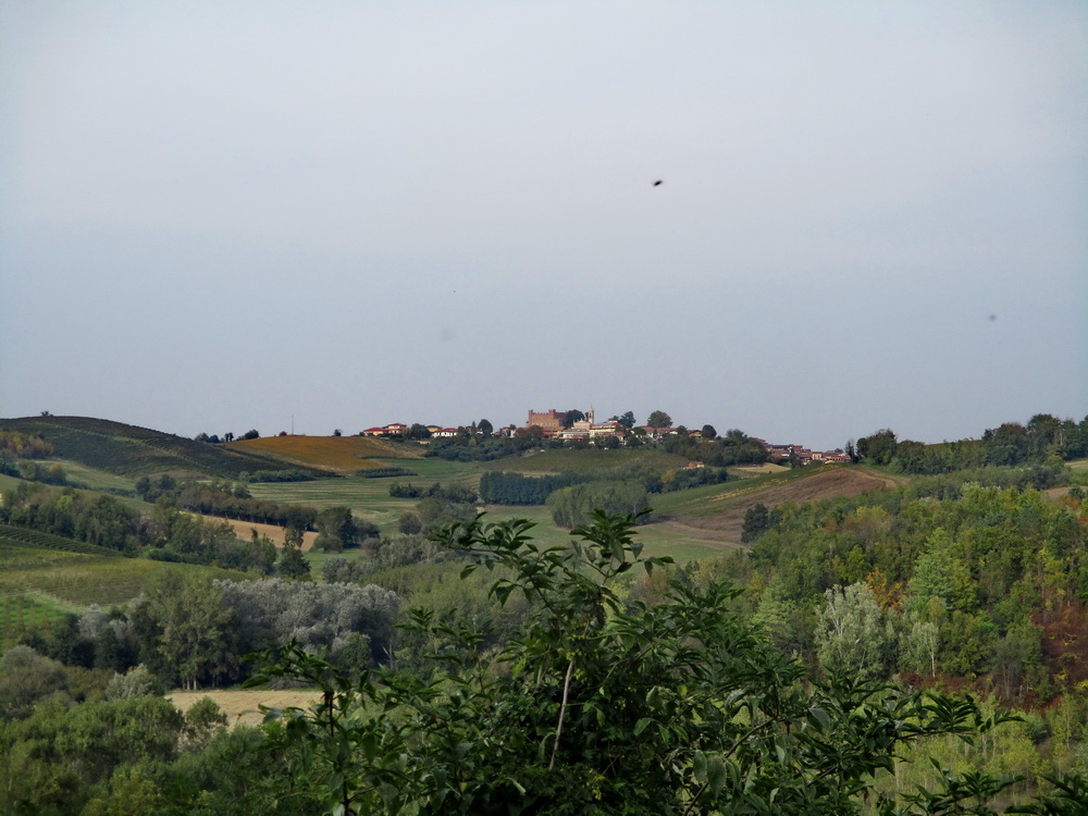 06.JPG