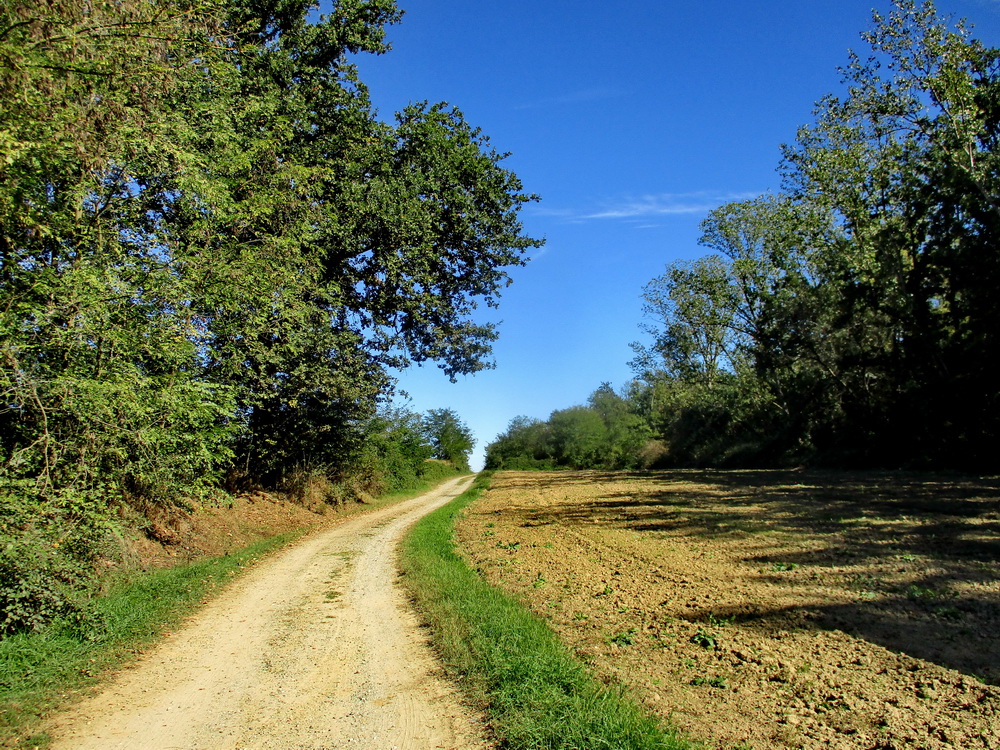 06.JPG