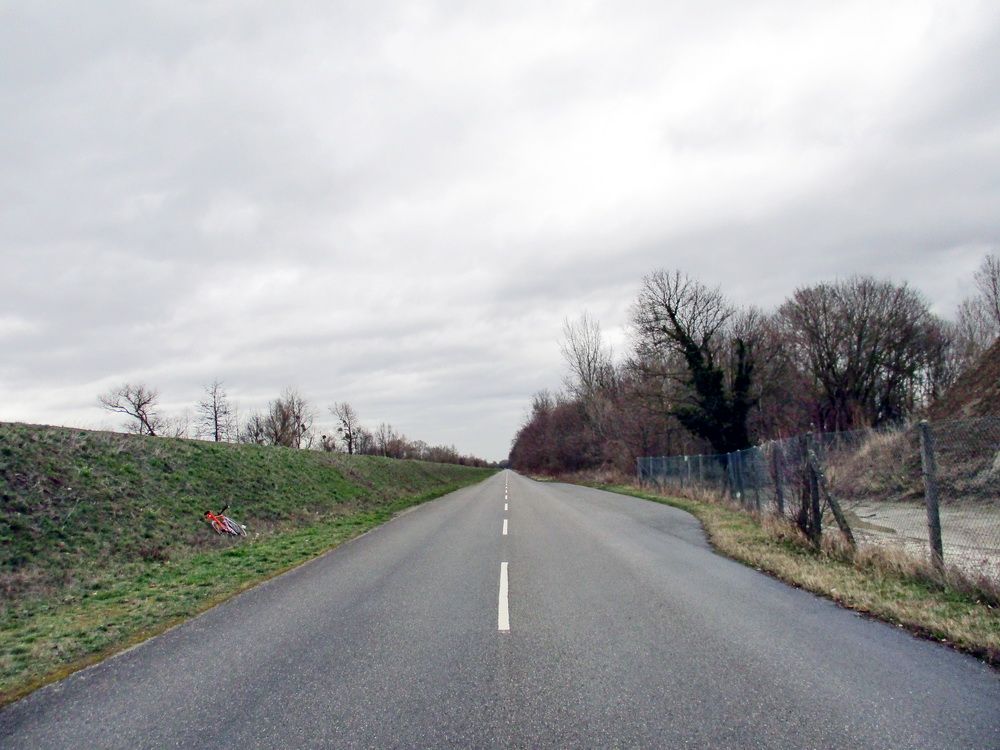 06.jpg