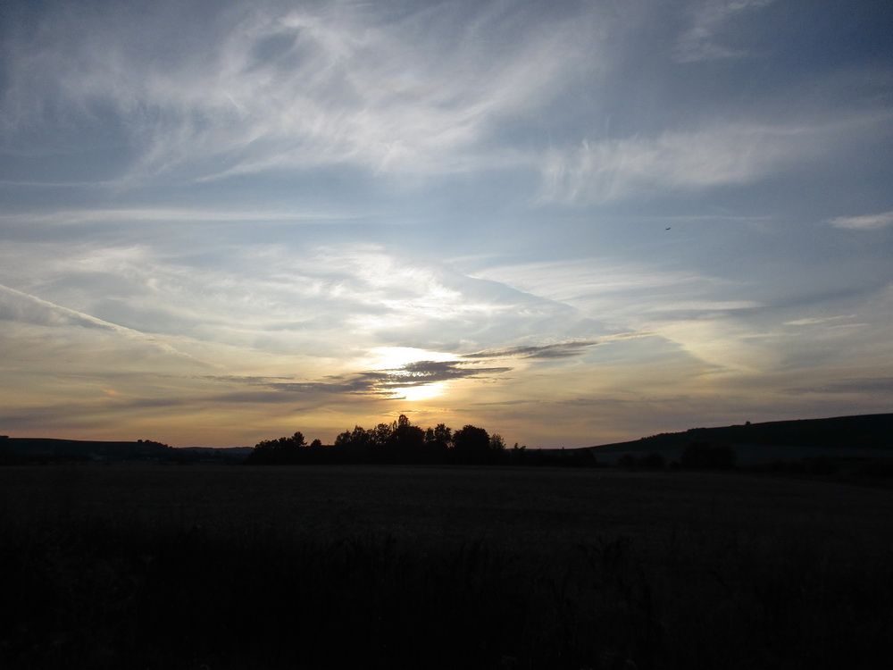 06.JPG