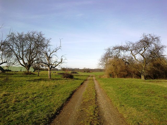 06022016642.jpg 06022016642.jpg