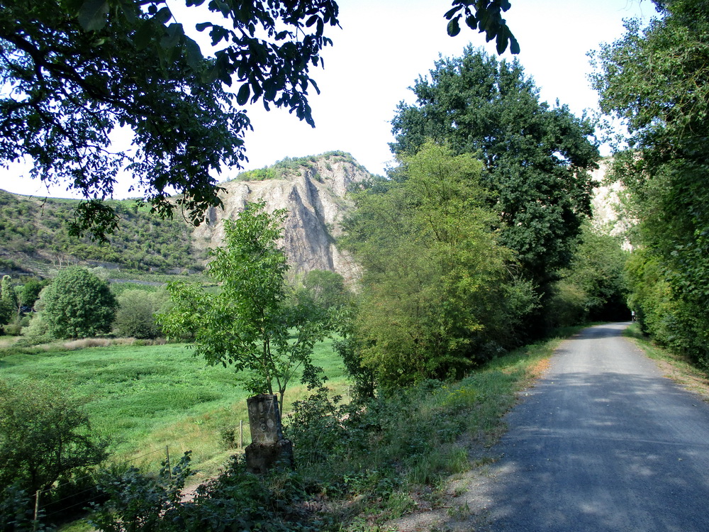 07.JPG