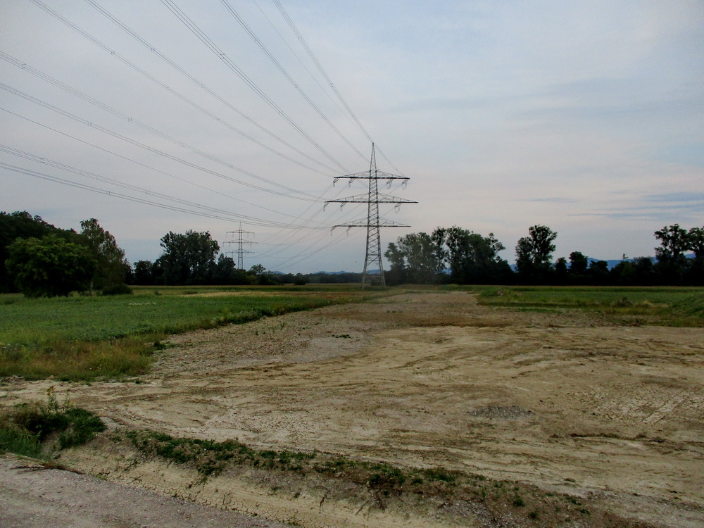 07.JPG