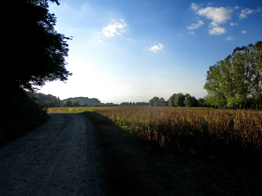 07.JPG