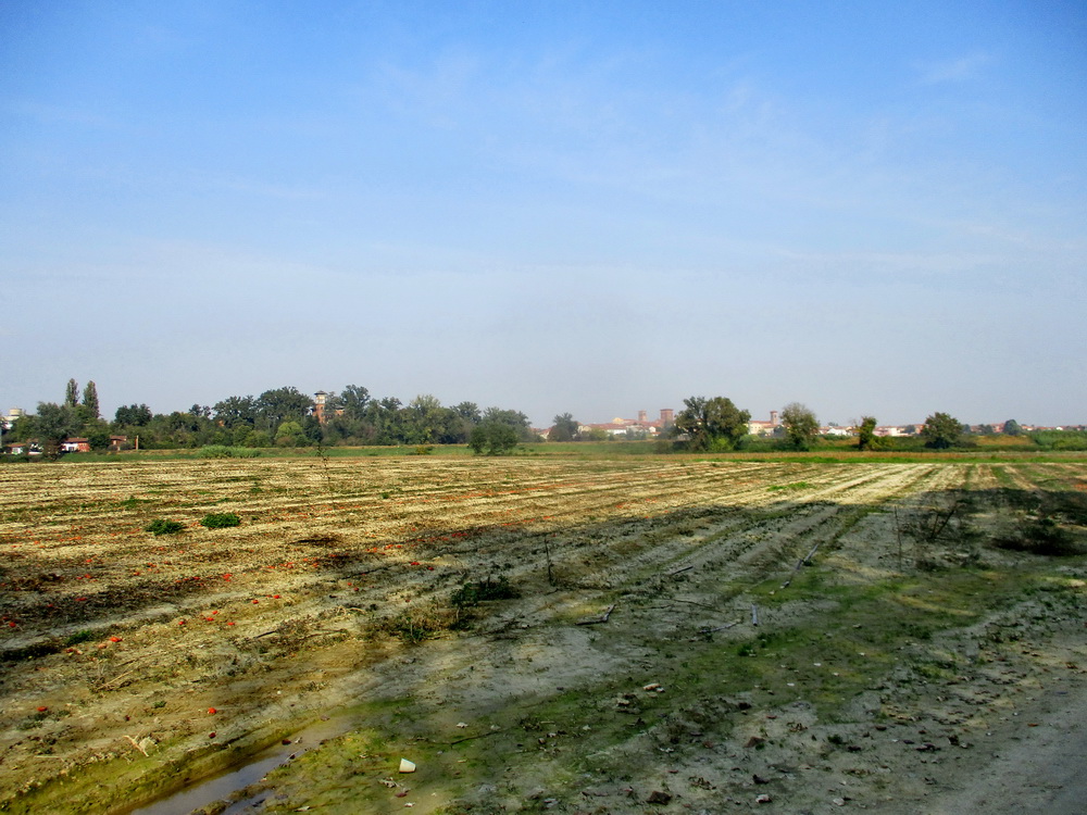 07.JPG
