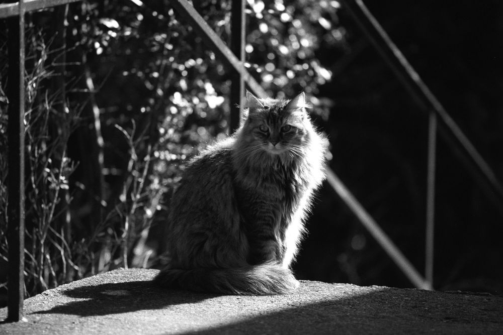 070303S17(kb.jpg