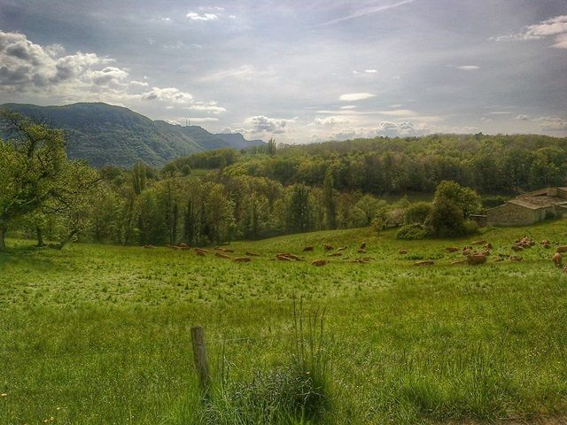 07052016827-01.jpeg