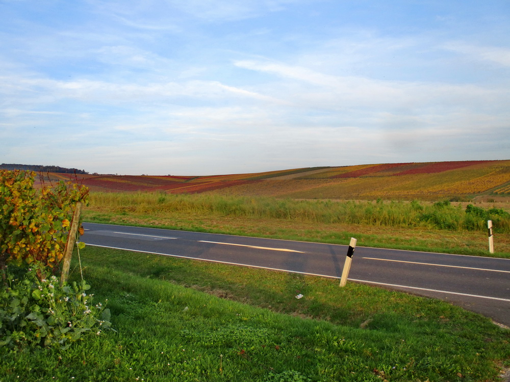 08.JPG