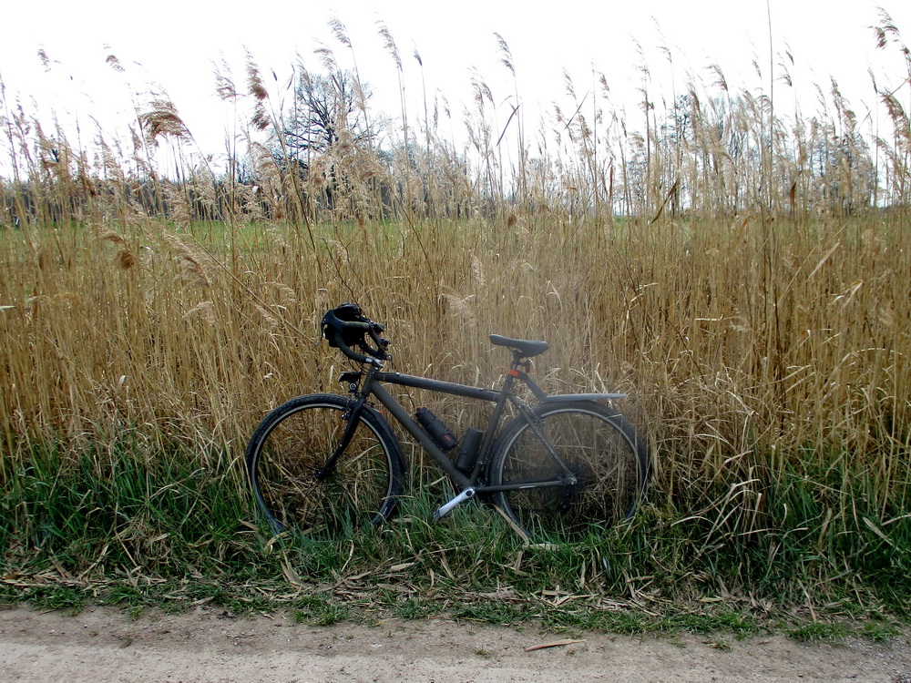 08.JPG