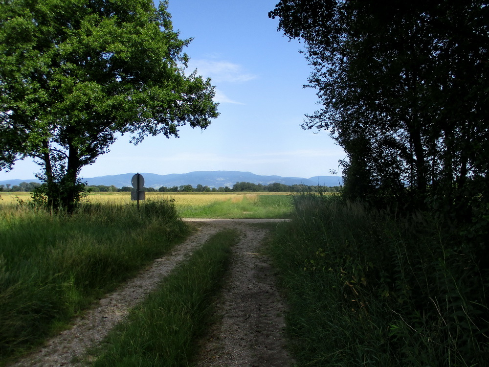 08.JPG