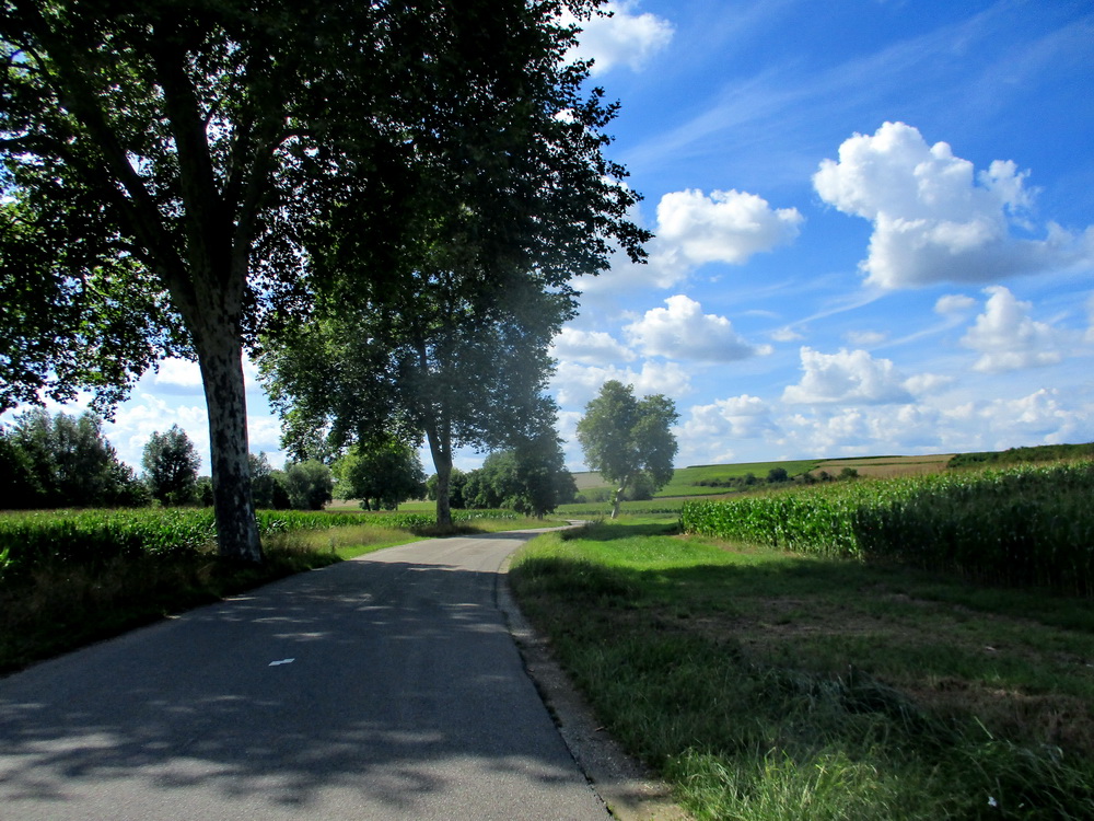 08.JPG