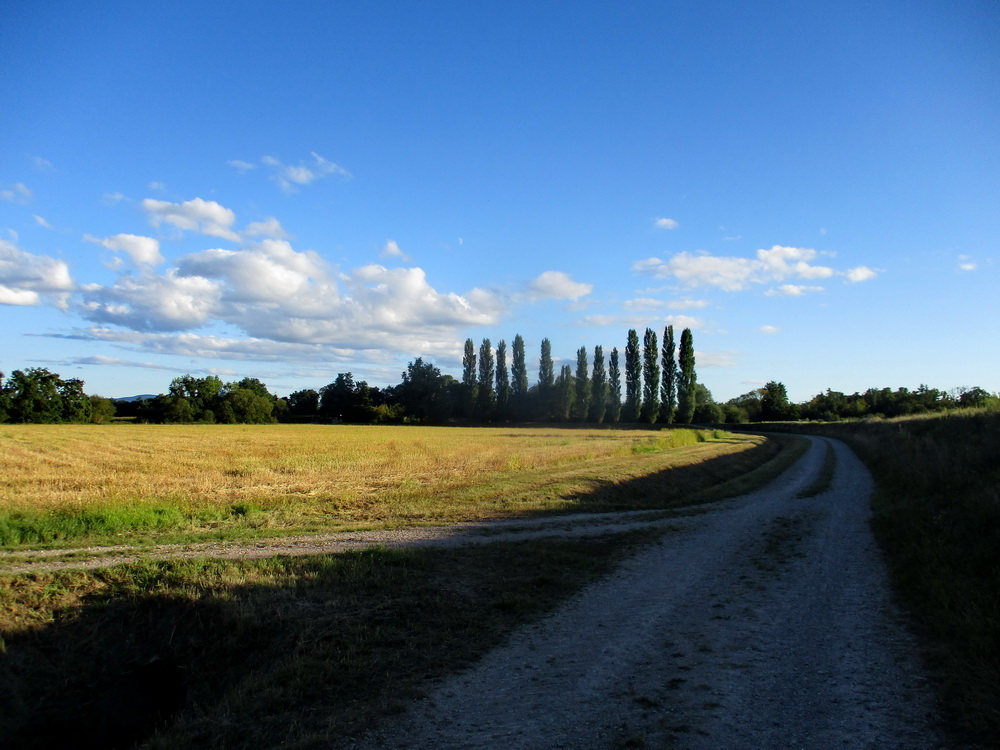 08.JPG