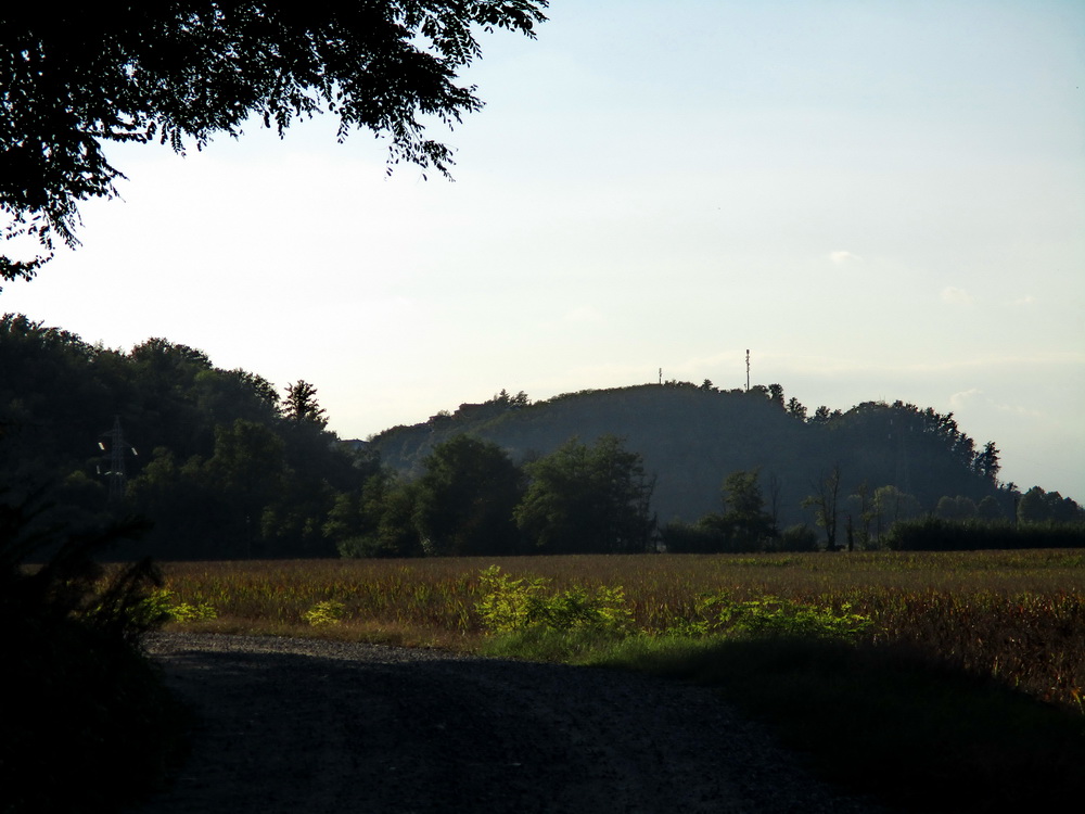 08.JPG
