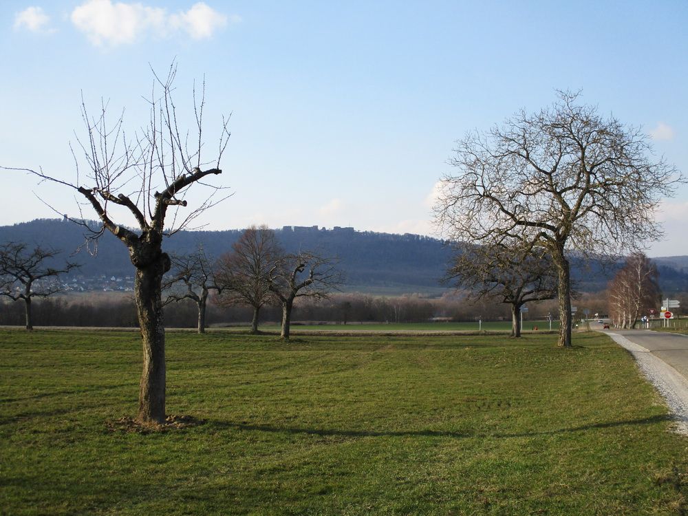 08.jpg