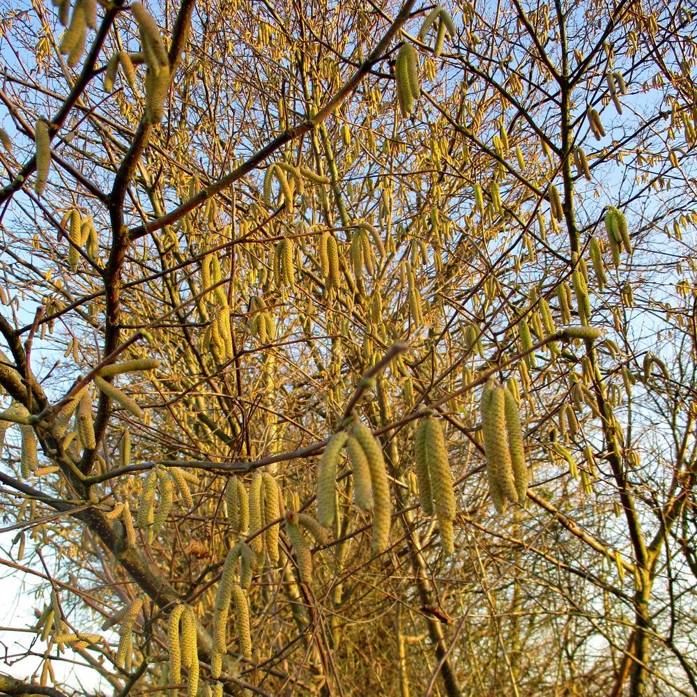 08.jpg