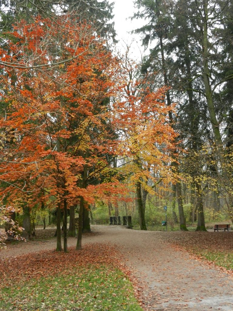 09.11.14 001.jpg