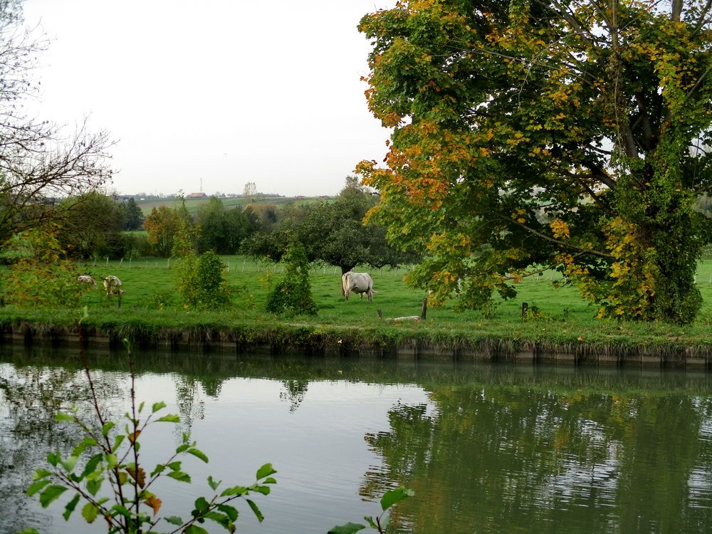 09.JPG