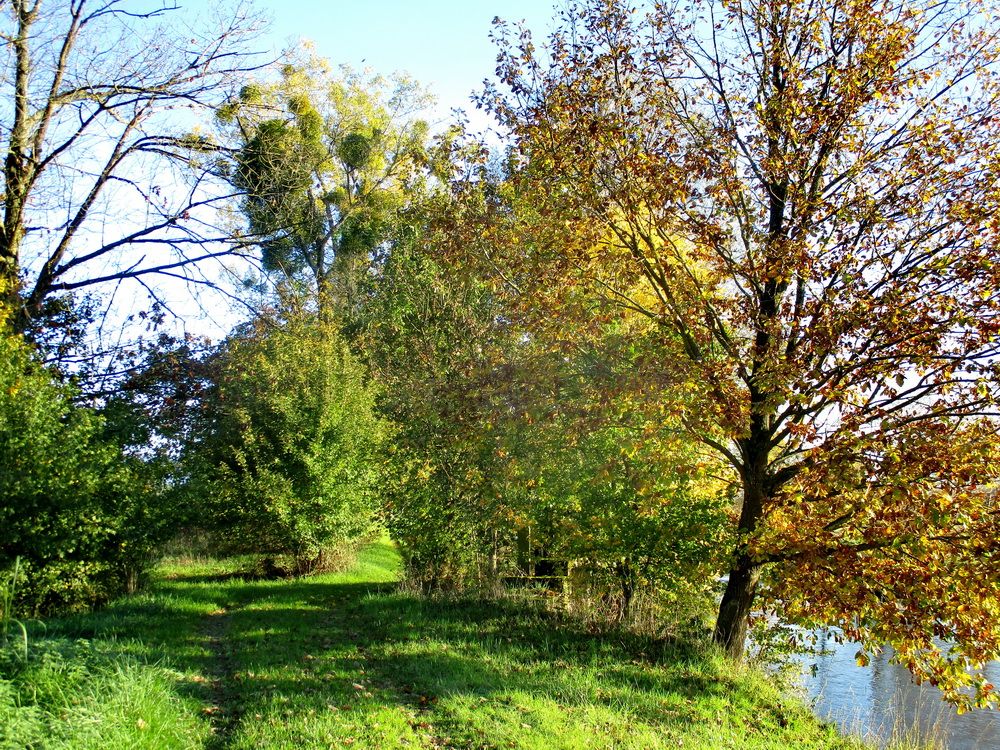09.JPG