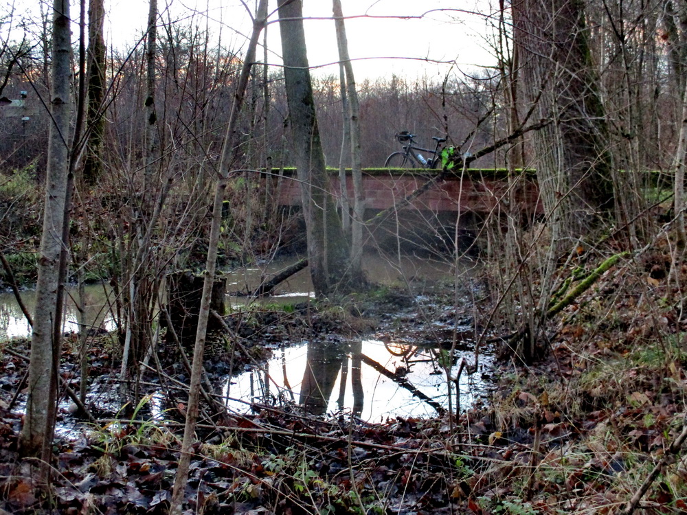 09.JPG