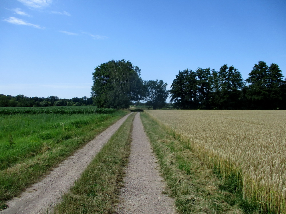09.JPG