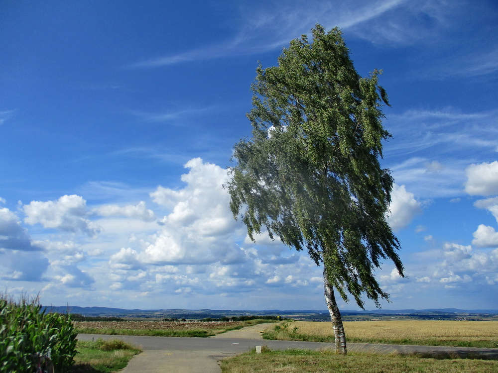 09.JPG