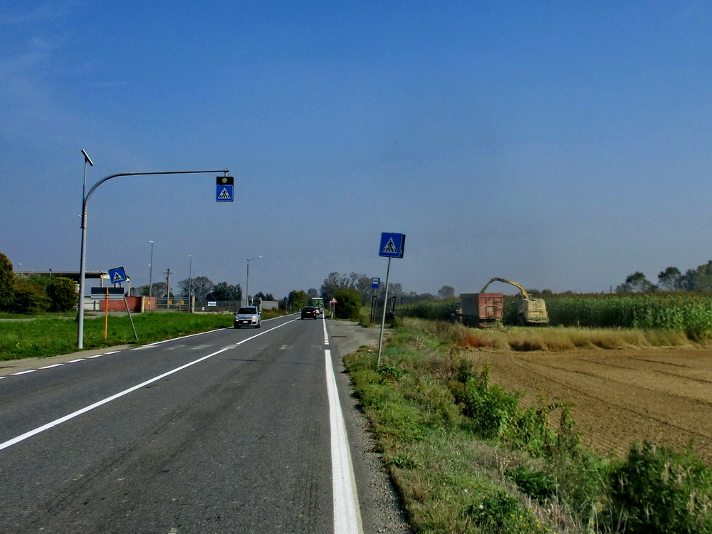 09.JPG