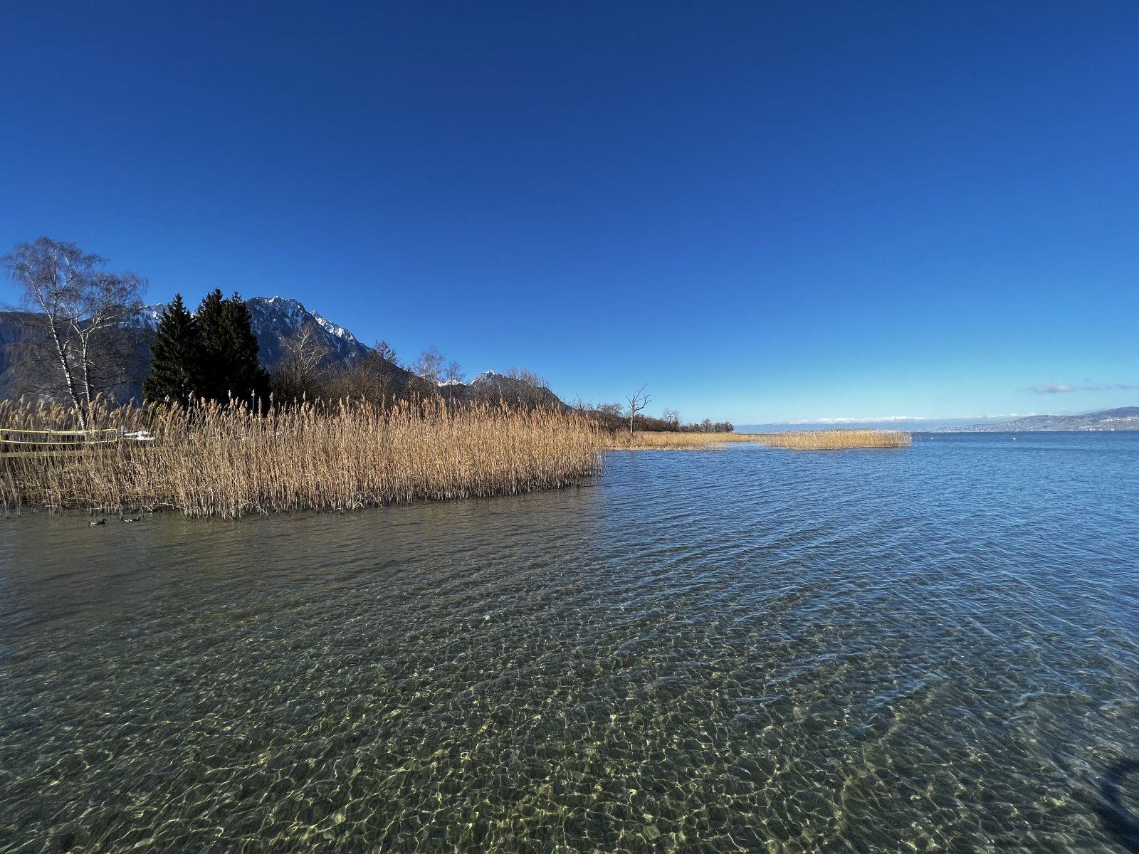 0B0882DF-0B54-47F9-BF42-6D8997C9F9B5.jpeg