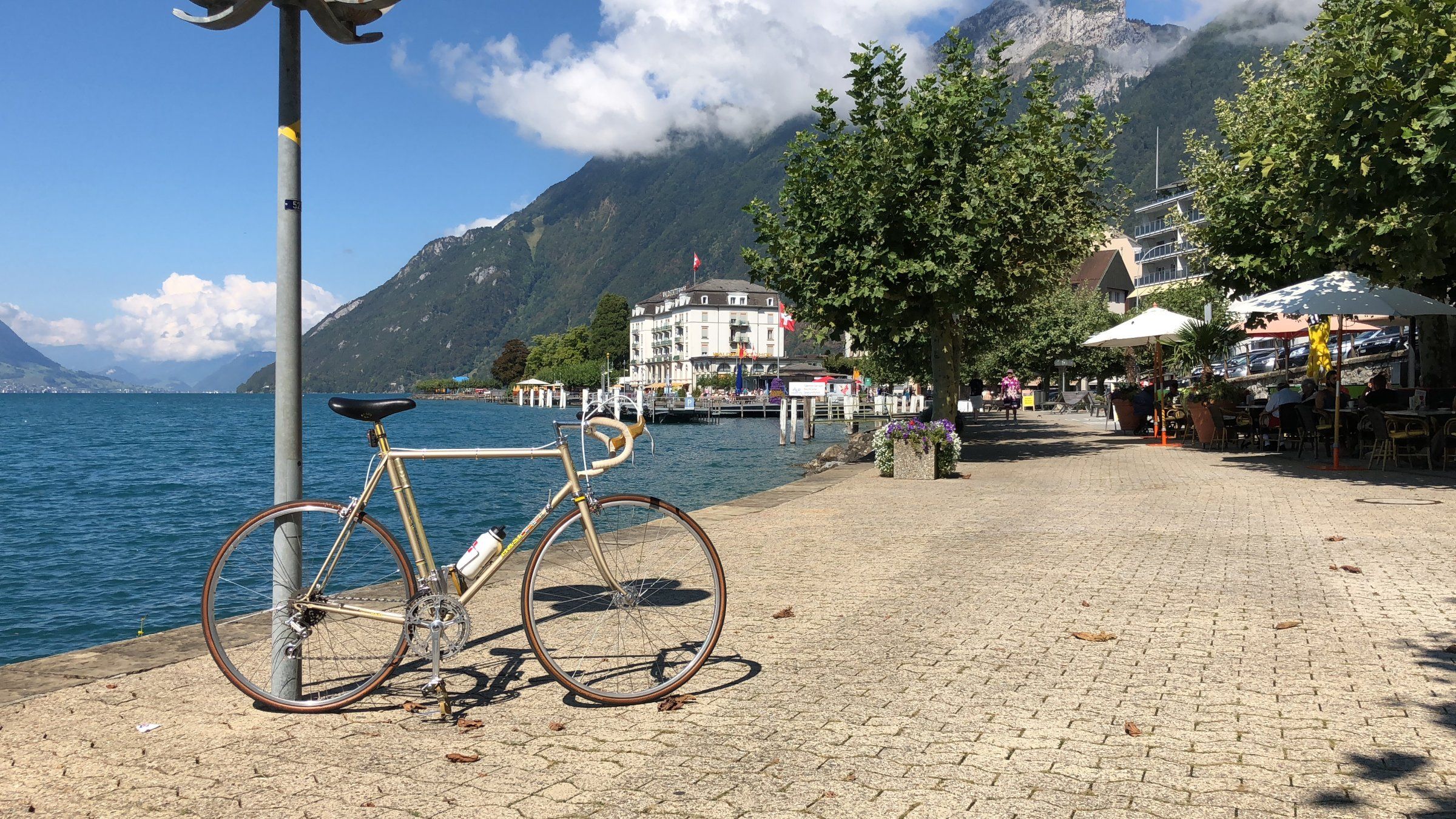0D398918-628A-4C99-8390-A5F86819B5FF.jpeg