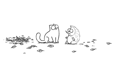 10.gif