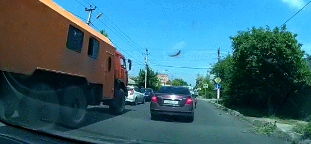 10.gif