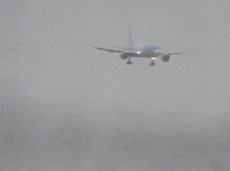 10.gif