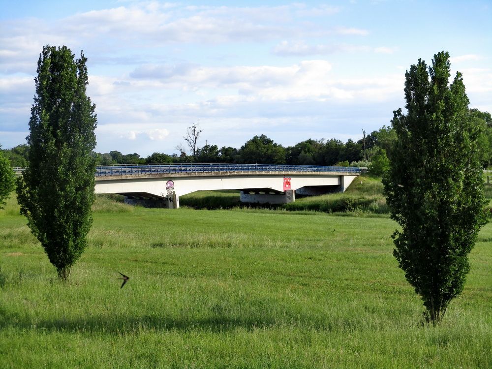 10.JPG