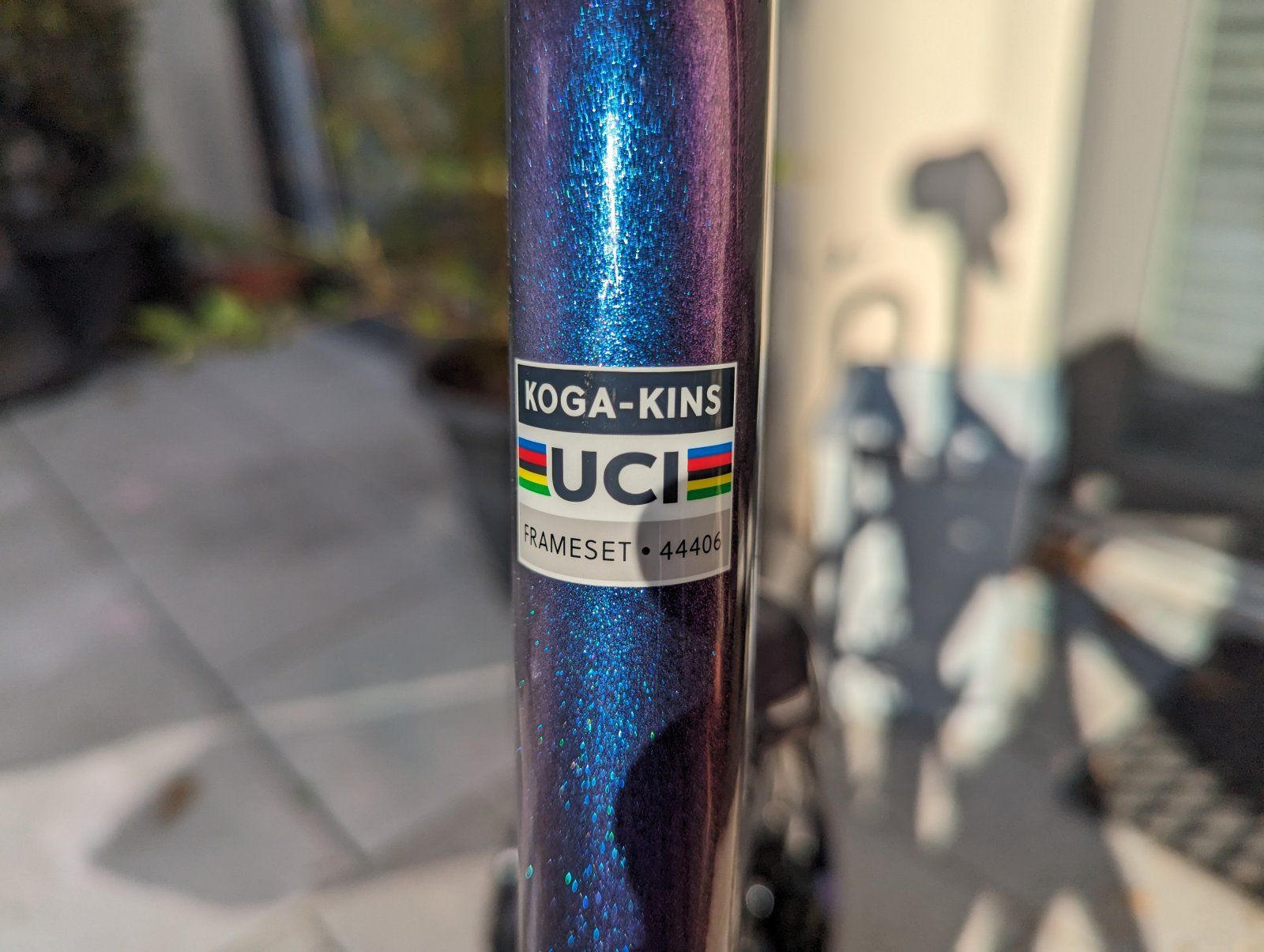 1000002313.jpg