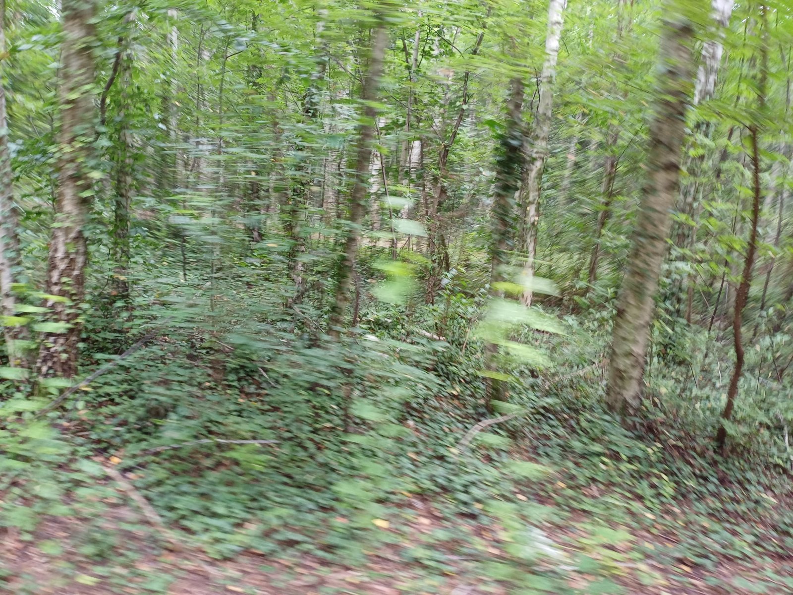1000013510.jpg