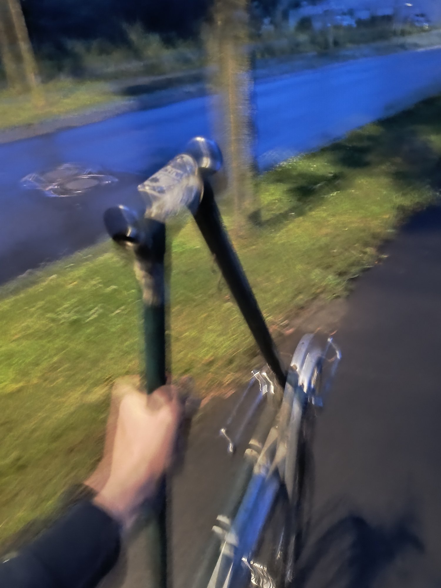 1000019795.jpg
