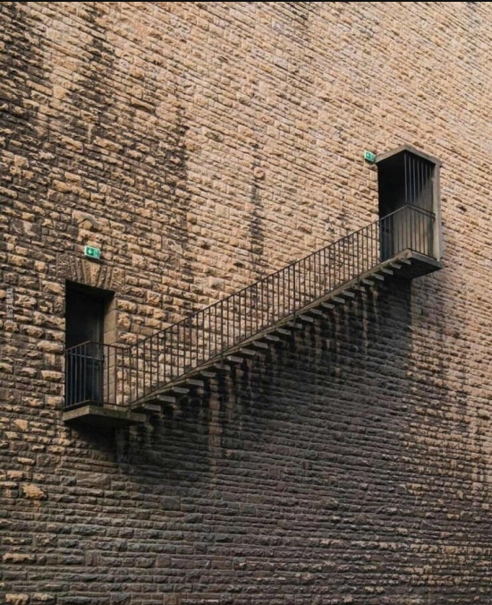 1000026168.jpg