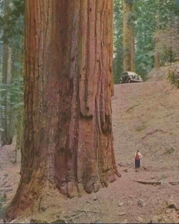 1000028054.jpg