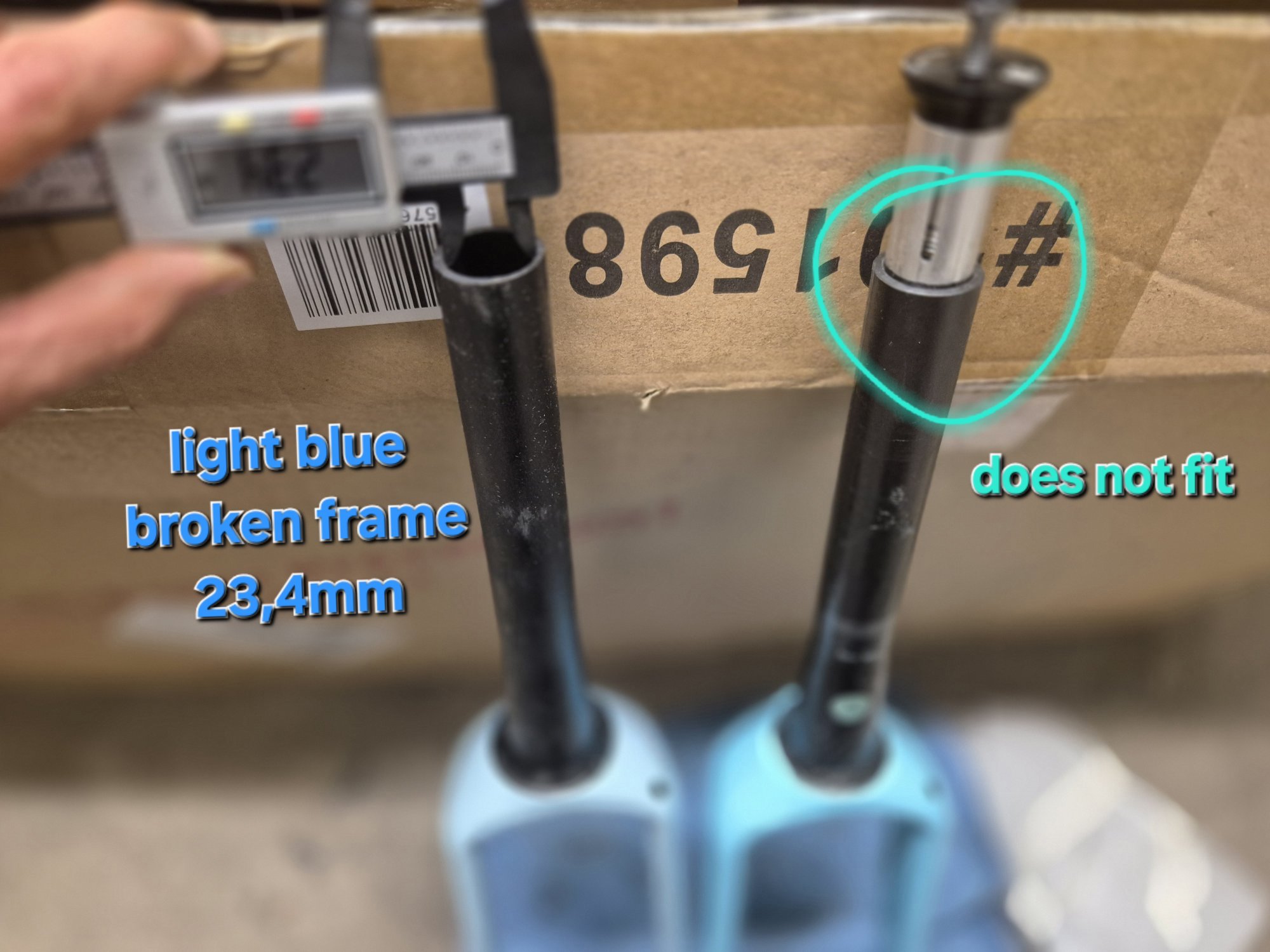 1000033919.jpg 1000033919.jpg