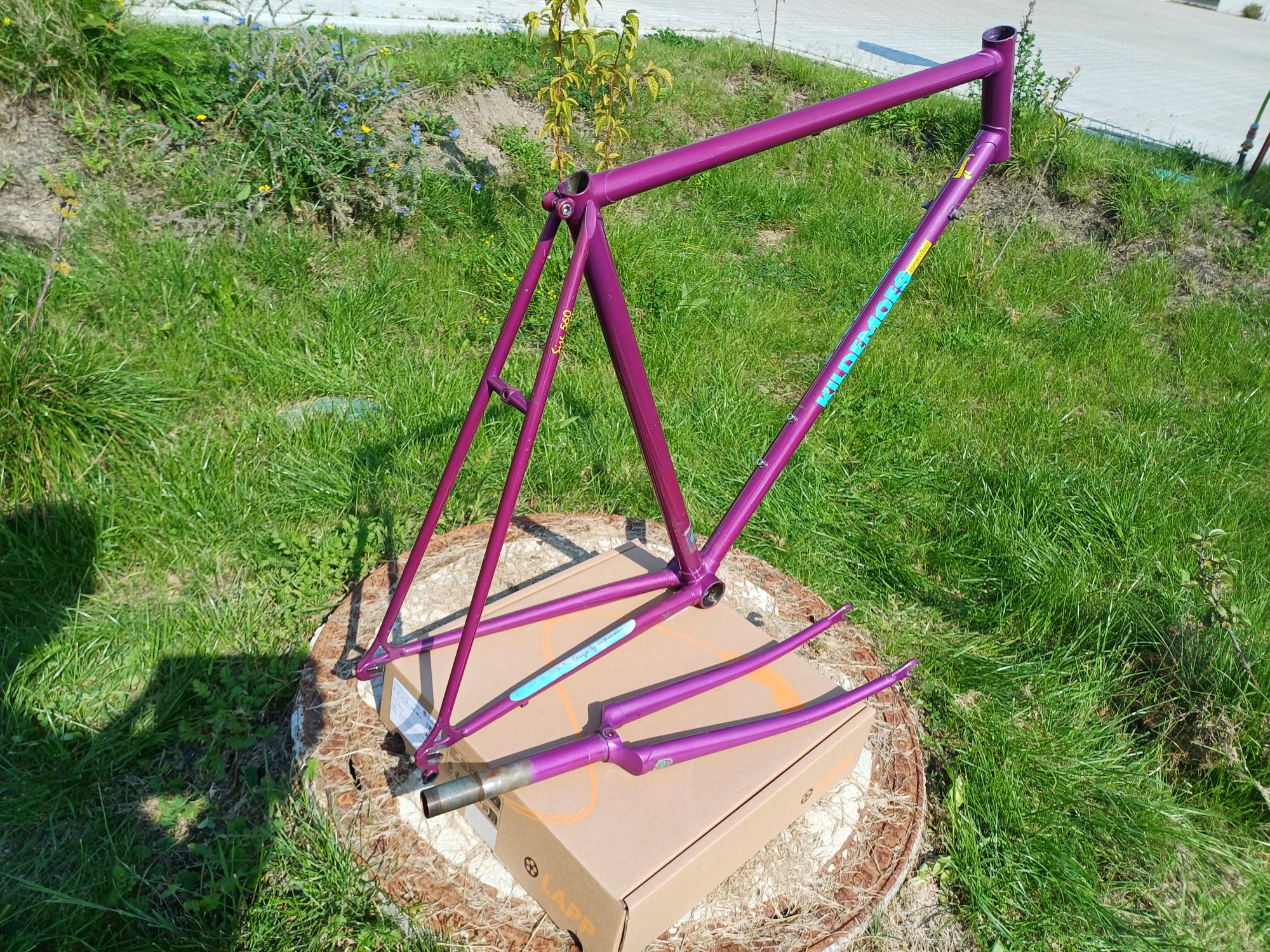 1000035535.jpg