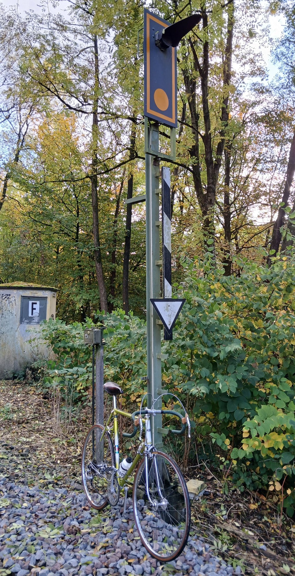 1000037050.jpg