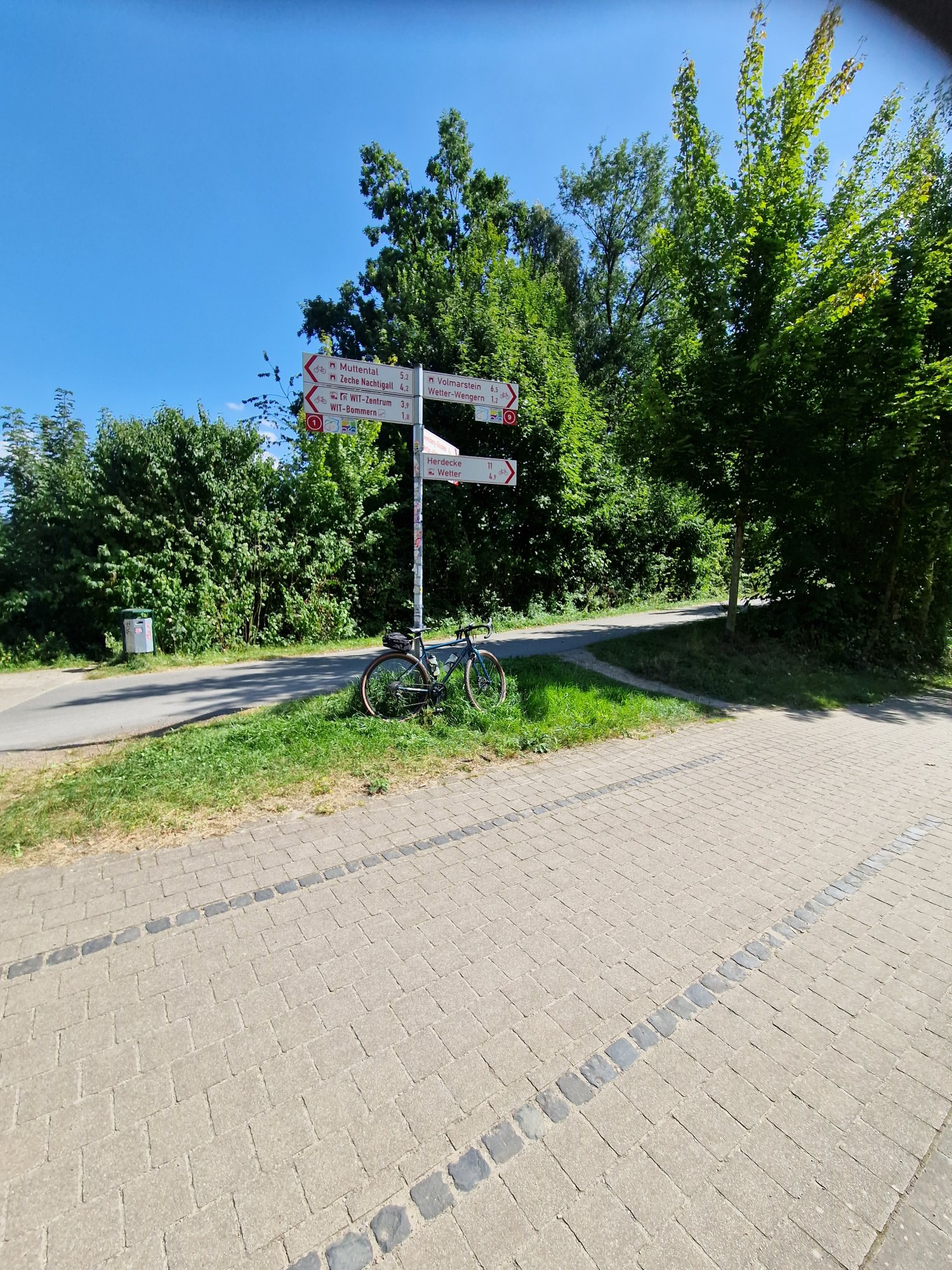 1000046160.jpg