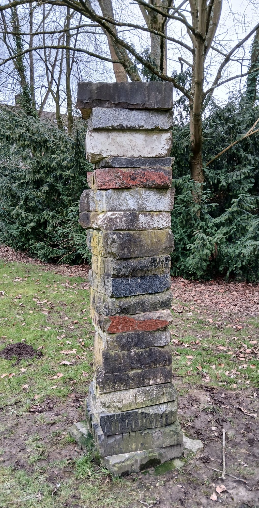 1000119595.jpg