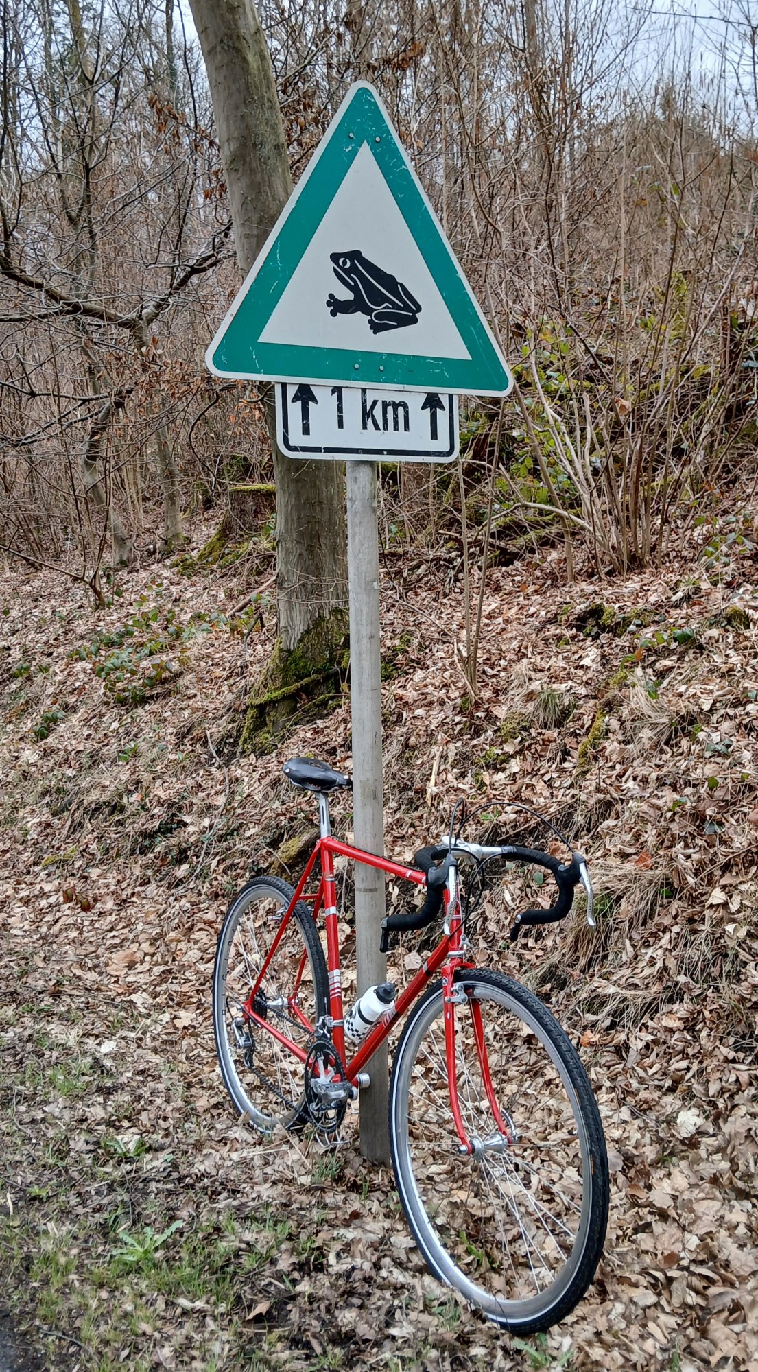 1000145556.jpg