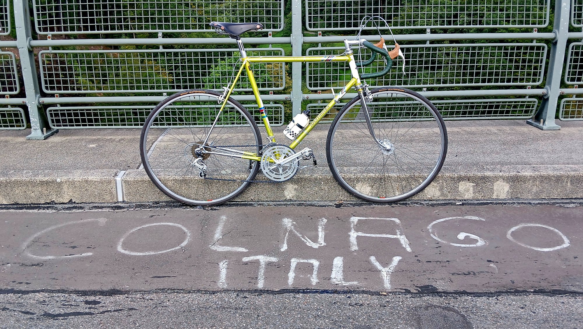 1000277163.jpg