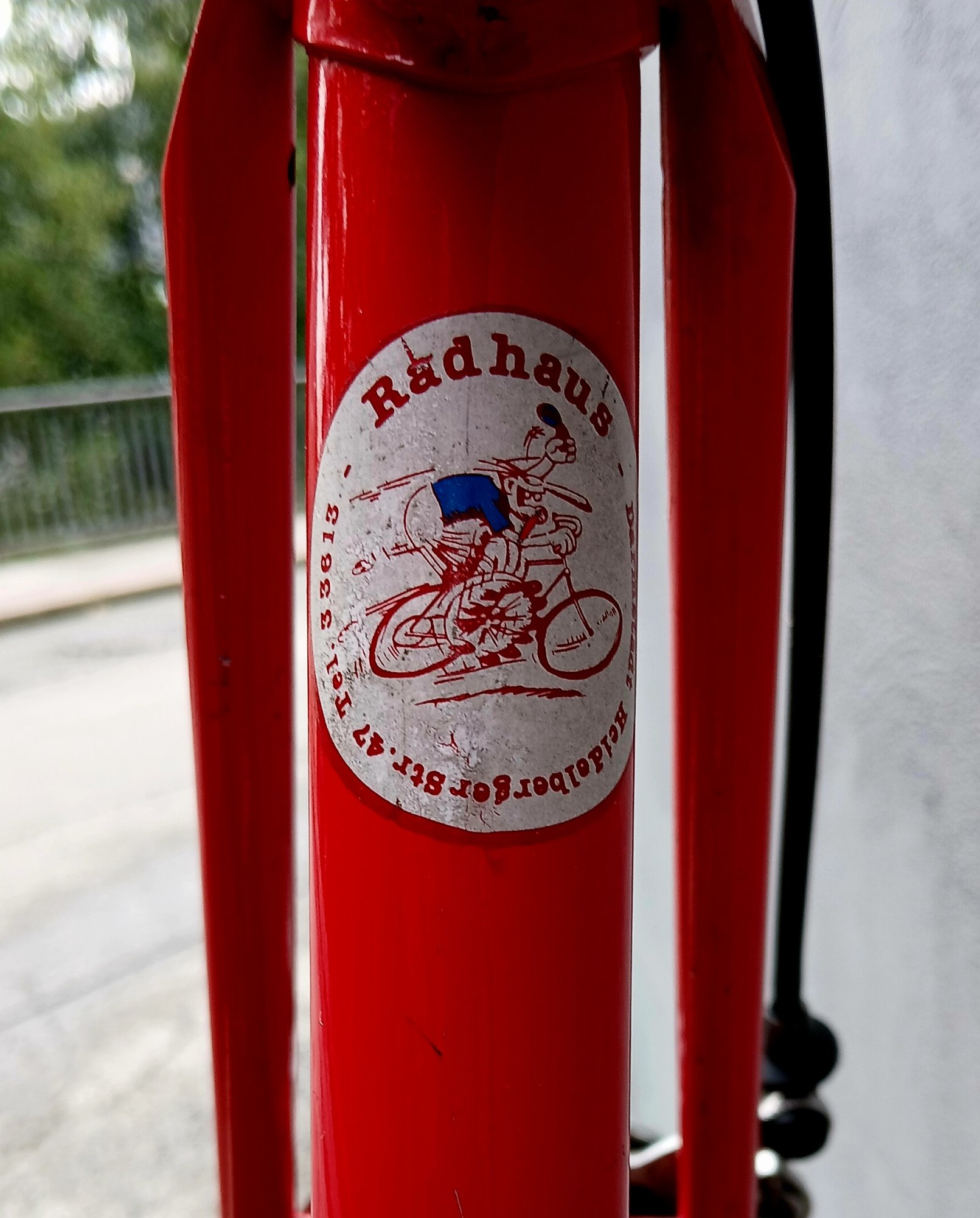 1000289460.jpg