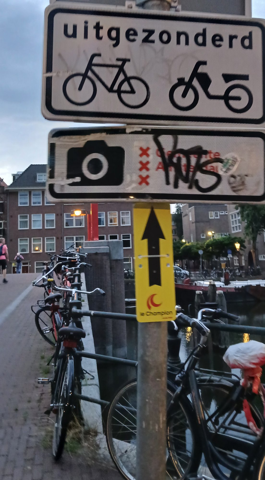 1000297546.jpg