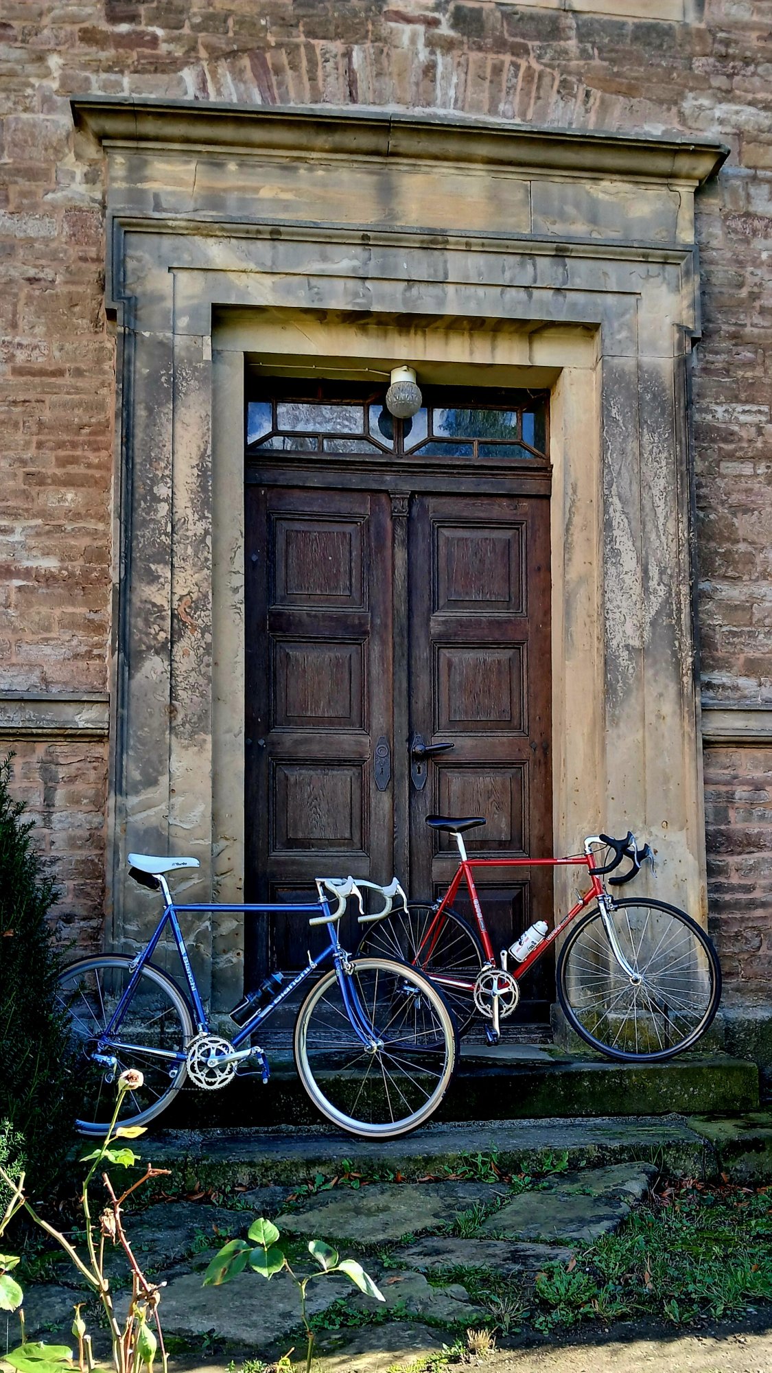 1000316563.jpg